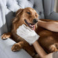 🐶🧤 Rengjøringshansker for kjæledyr — si farvel til ubehagelige lukter ✨🌸